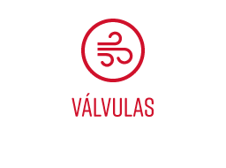 valvulas